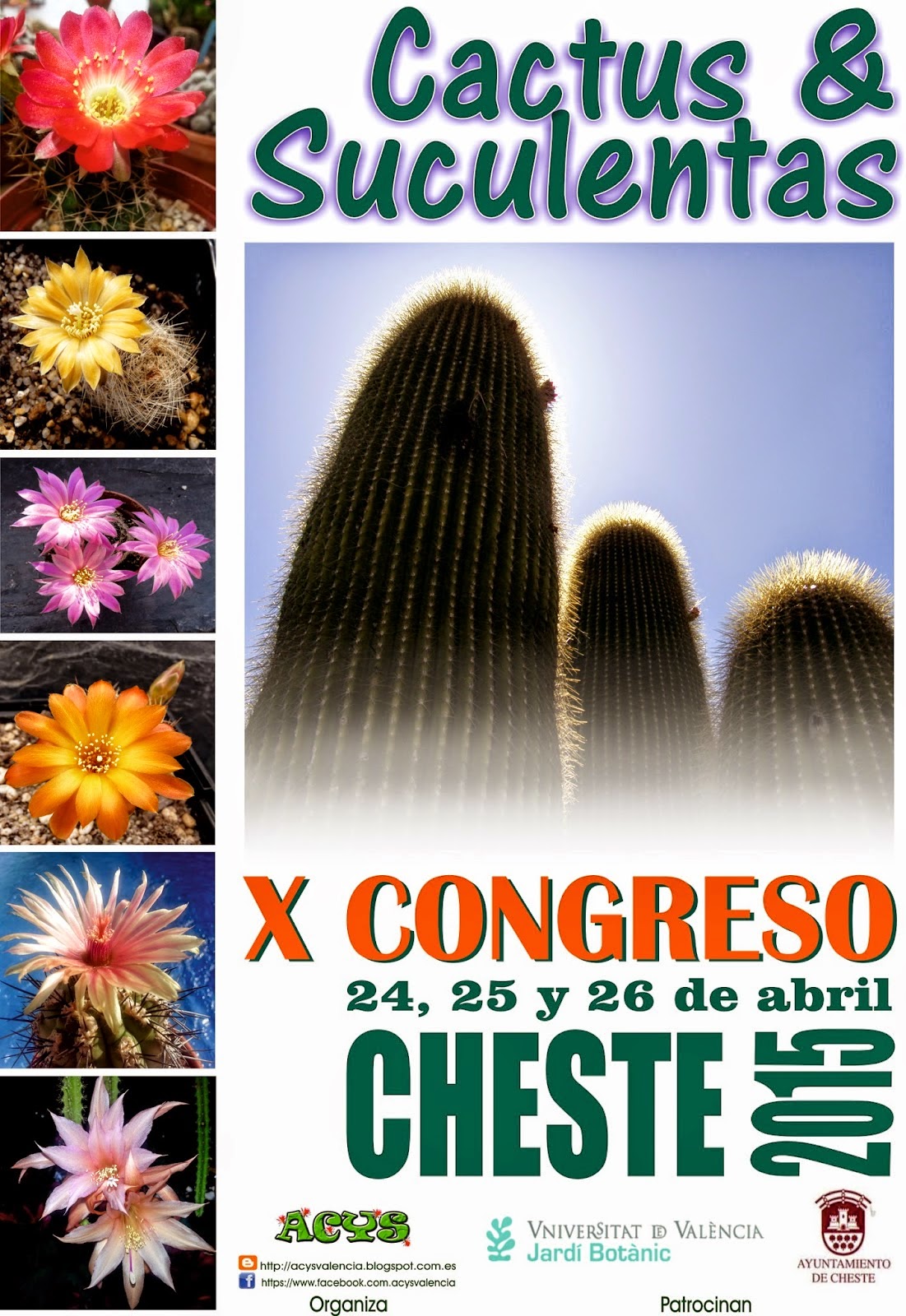 Cheste 2015, X exposición de Cactus y Suculentas.