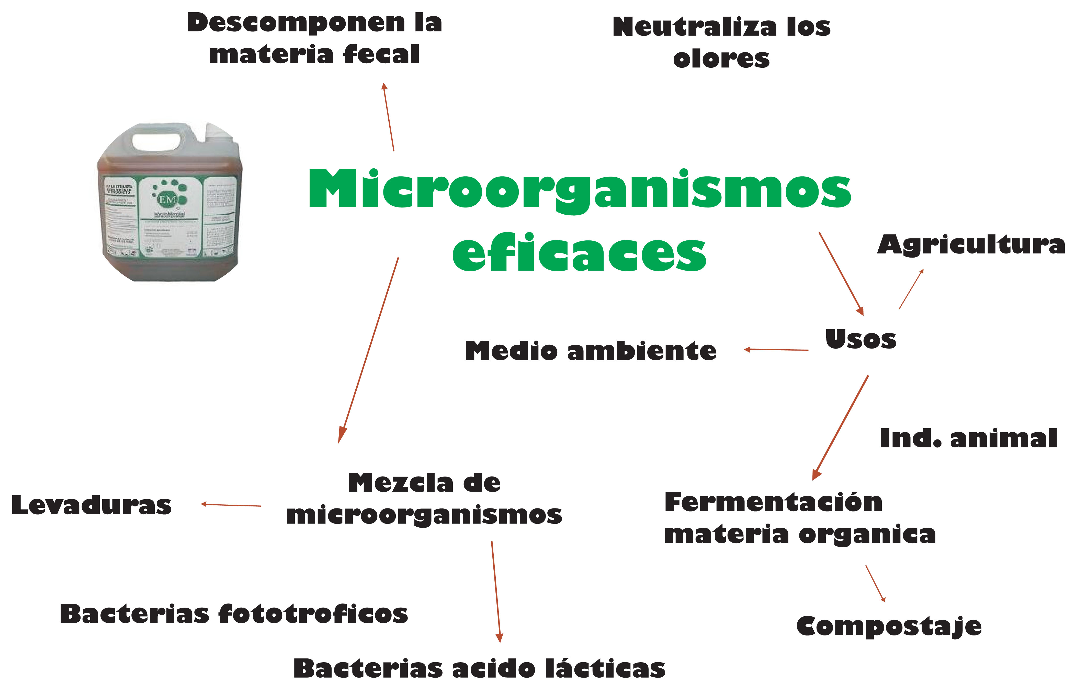 Microorganismos efectivos EM y zeolitas.