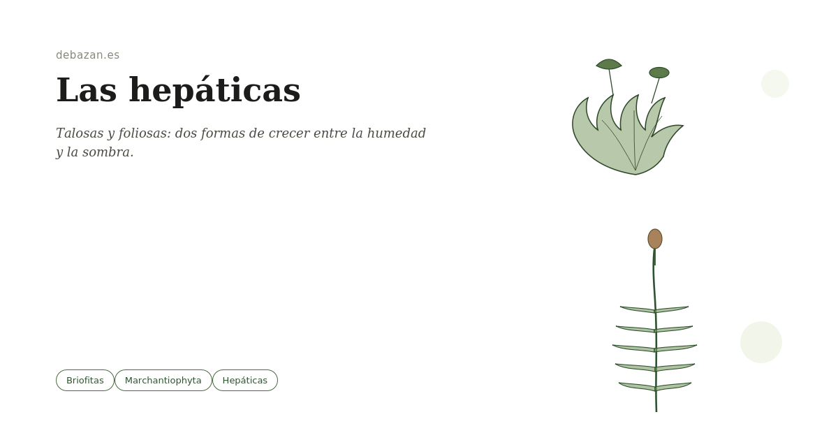 hepaticas