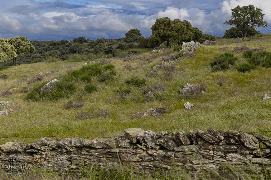 hinojal_extremadura