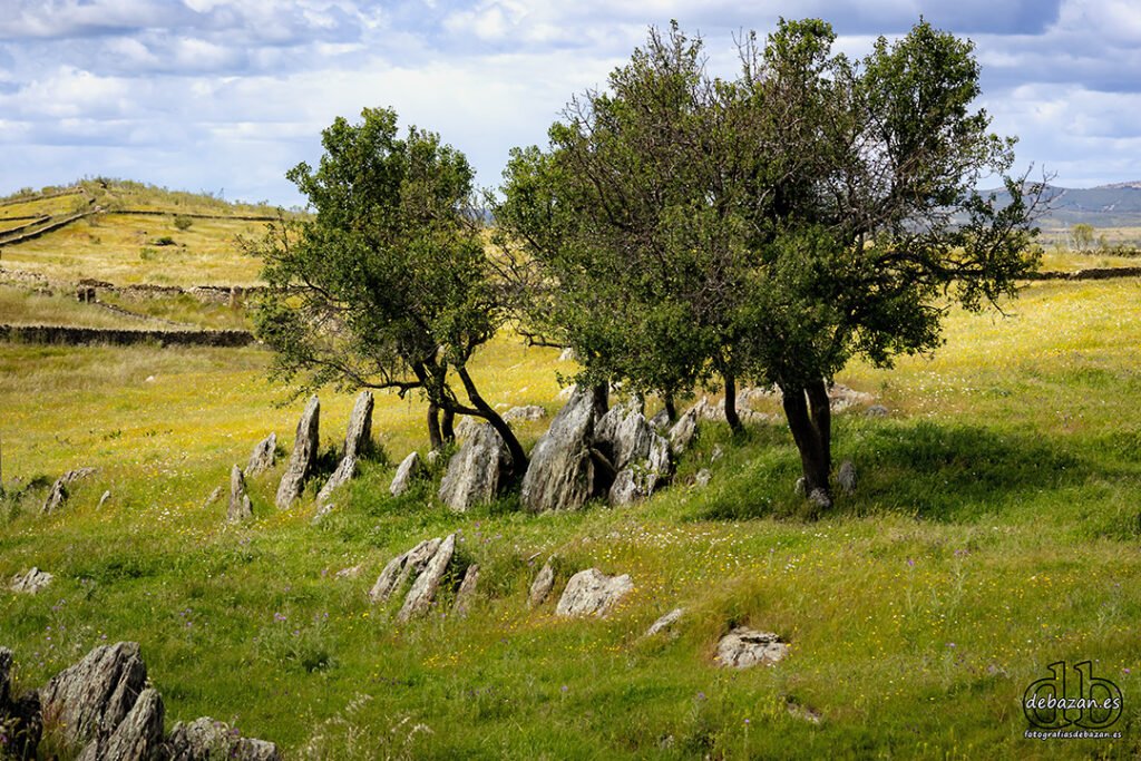 hinojal_extremadura