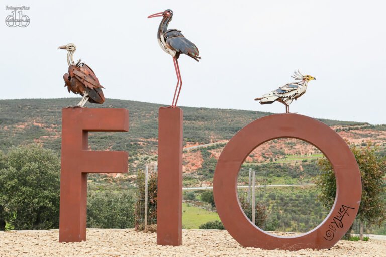 FIO_2026